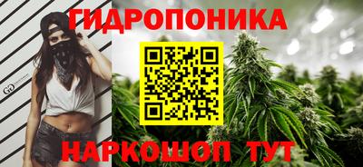 хмурый Нарткала