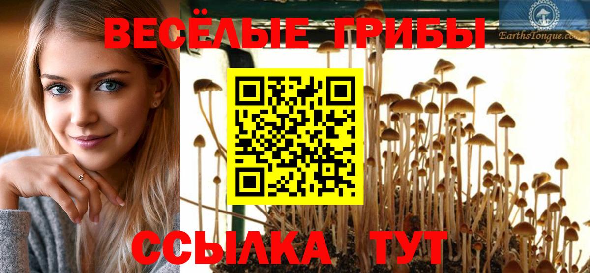 Шелехов  Псилоцибиновые грибы Psilocybine cubensis  Галлюциногенные грибы мицелий  Вход с VPN 